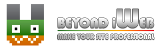 beyondiweb logo